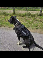 Harnais Tactique Militaire pour Chien - Gilet MOLLE avec Pochettes Nylon